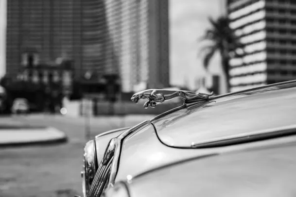 Casino Loony Bingo Android/iOS App